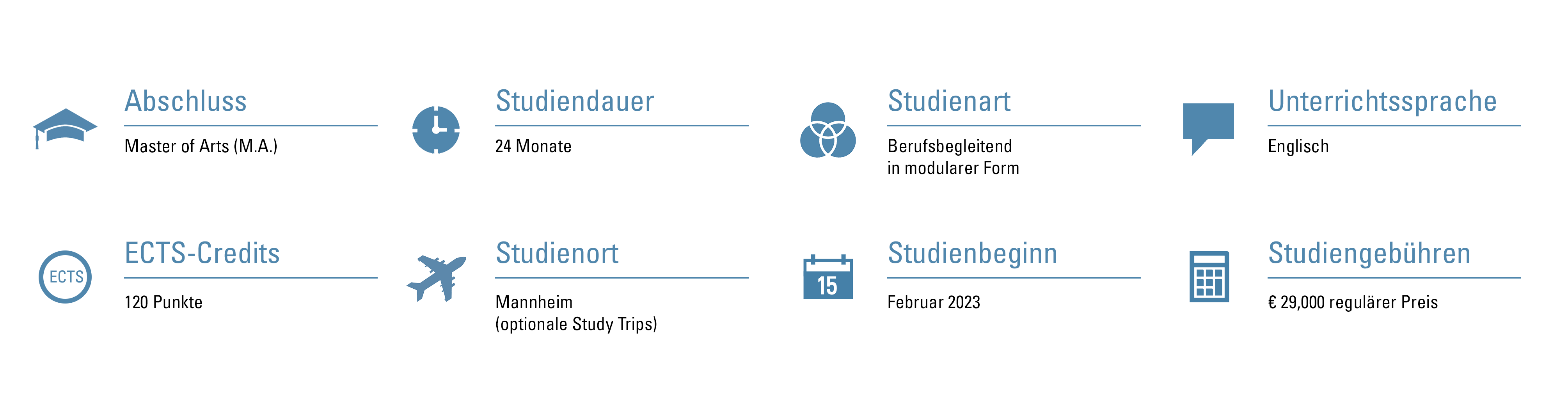 Mannheim Master in Management Analytics berufsbegleitend