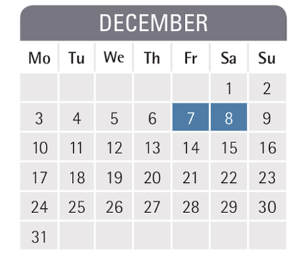 Mannheim business school semester dates