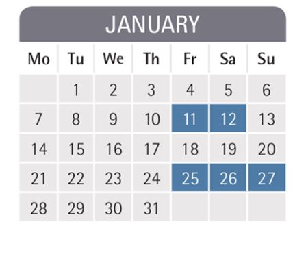 Mannheim business school semester dates