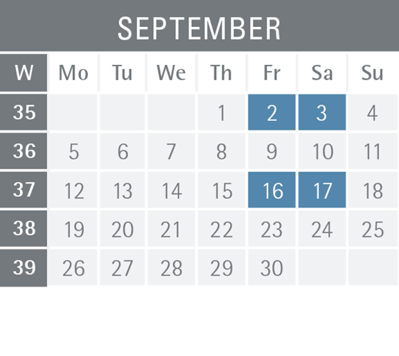 Mannheim business school semester dates