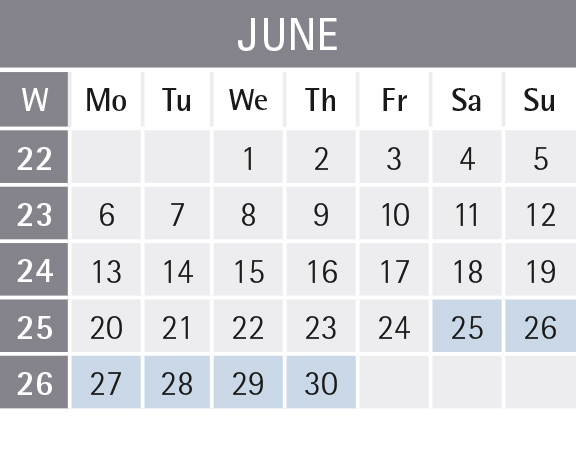Mannheim business school semester dates