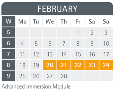 Mannheim business school semester dates